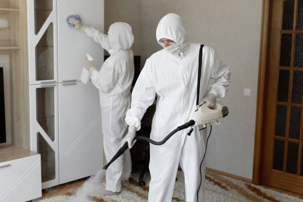 Mold Testing and Removal in Burlington, VT